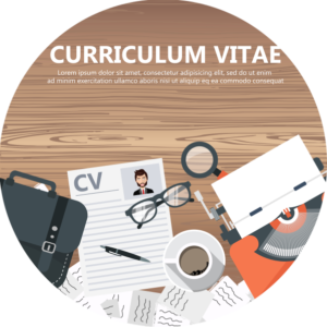 Curriculum vitae w języku holenderskim (CV)