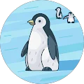 Buszok Avatar